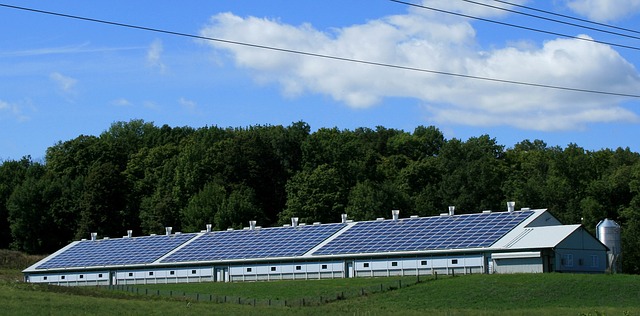 business renewable energy